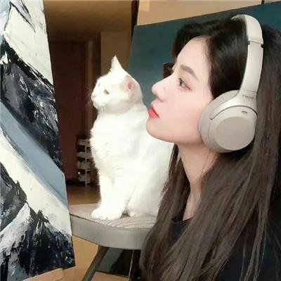 猫咪咖啡厅