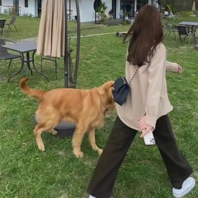 疯狂作死夜